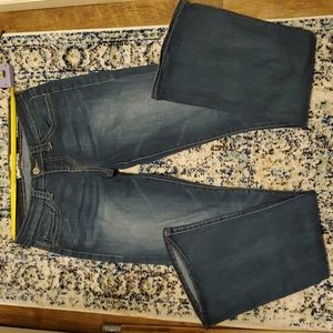 Daytrip Lynx Flare 28L